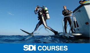 sdi-course