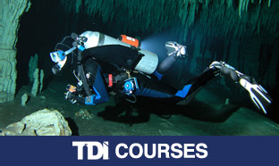 tdi-course